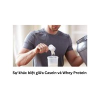Sự khác biệt giữa Casein và Whey Protein