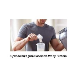 Sự khác biệt giữa Casein và Whey Protein