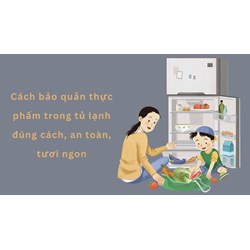 Cách bảo quản thực phẩm trong tủ lạnh đúng cách, an toàn, tươi ngon