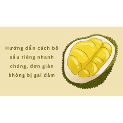Hướng dẫn cách bổ sầu riêng nhanh chóng, đơn giản không bị gai đâm