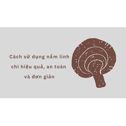 Cách sử dụng nấm linh chi hiệu quả, an toàn và đơn giản