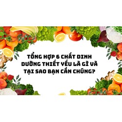 Tổng hợp 6 chất dinh dưỡng thiết yếu là gì và tại sao bạn cần chúng?