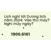 Lịch nghỉ tết Dương lịch năm 2024: Vào thứ mấy? Nghỉ mấy ngày?