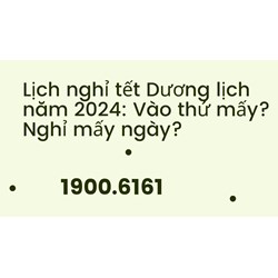 Lịch nghỉ tết Dương lịch năm 2024: Vào thứ mấy? Nghỉ mấy ngày?