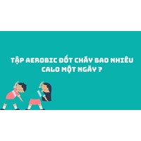 Tập aerobic đốt cháy bao nhiêu calo một ngày ?