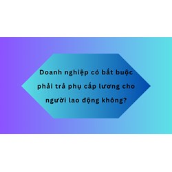 Doanh nghiệp có bắt buộc phải trả phụ cấp lương cho người lao động không?