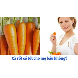 Cà rốt có tốt cho mẹ bầu không?