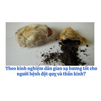 Theo kinh nghiệm dân gian xạ hương tốt cho người bệnh đột quỵ và thần kinh?