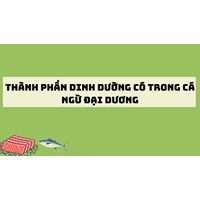 Thành phần dinh dưỡng có trong cá ngừ đại dương