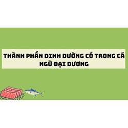 Thành phần dinh dưỡng có trong cá ngừ đại dương