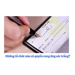 Những tổ chức nào có quyền cung ứng séc trắng?
