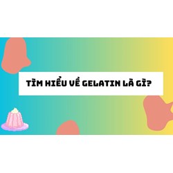 Tìm hiểu về Gelatin là gì?