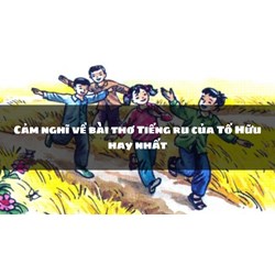 Cảm nghĩ về bài thơ Tiếng ru của Tố Hữu hay nhất