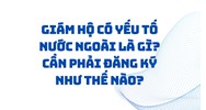 Giám hộ có yếu tố nước ngoài là gì? Cần phải đăng ký như thế nào?