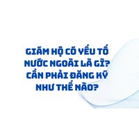 Giám hộ có yếu tố nước ngoài là gì? Cần phải đăng ký như thế nào?