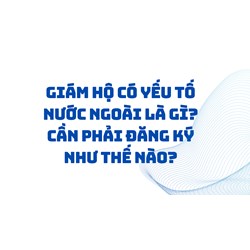Giám hộ có yếu tố nước ngoài là gì? Cần phải đăng ký như thế nào?