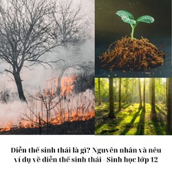 Diễn thế sinh thái là gì? Nguyên nhân và nêu ví dụ về diễn thế sinh thái - Sinh học lớp 12