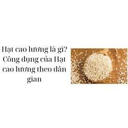 Hạt cao lương là gì? Công dụng của Hạt cao lương theo dân gian