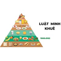 Tháp chế độ dinh dưỡng dành cho bệnh nhân ung thư