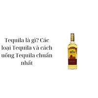 Tequila là gì? Các loại Tequila và cách uống Tequila chuẩn nhất