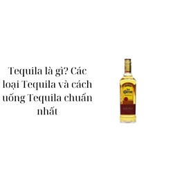 Tequila là gì? Các loại Tequila và cách uống Tequila chuẩn nhất