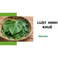 Lá vừng Hàn Quốc là gì? Lá vừng và lá tía tô Việt Nam có giống nhau?