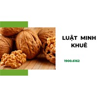 Quả óc chó là gì? Công dụng của quả óc chó theo dân gian