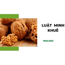 Quả óc chó là gì? Công dụng của quả óc chó theo dân gian