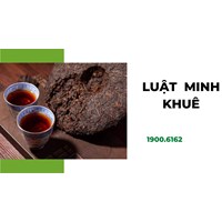 Trà phổ nhĩ là gì? Mách bạn những công dụng của trà phổ nhĩ