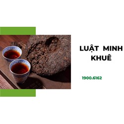 Trà phổ nhĩ là gì? Mách bạn những công dụng của trà phổ nhĩ