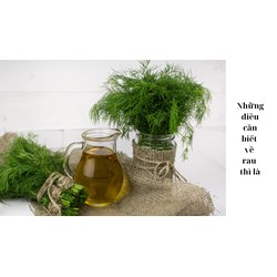 Những điều cần biết về rau thì là