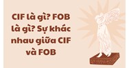 CIF là gì? FOB là gì? Sự khác nhau giữa CIF và FOB