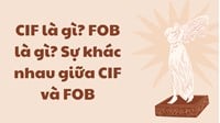 CIF là gì? FOB là gì? Sự khác nhau giữa CIF và FOB