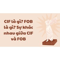 CIF là gì? FOB là gì? Sự khác nhau giữa CIF và FOB