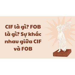 CIF là gì? FOB là gì? Sự khác nhau giữa CIF và FOB