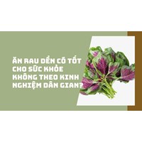 Ăn rau dền có tốt cho sức khỏe không theo kinh nghiệm dân gian?