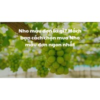 Nho mẫu đơn là gì? Mách bạn cách chọn mua Nho mẫu đơn ngon nhất