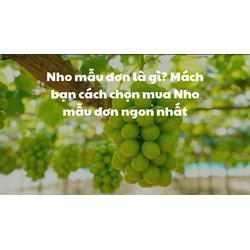 Nho mẫu đơn là gì? Mách bạn cách chọn mua Nho mẫu đơn ngon nhất