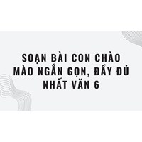 Soạn bài Con chào mào ngắn gọn, đầy đủ nhất Văn 6
