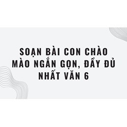 Soạn bài Con chào mào ngắn gọn, đầy đủ nhất Văn 6