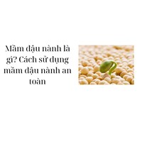 Mầm đậu nành là gì? Cách sử dụng mầm đậu nành an toàn