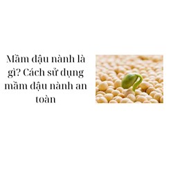 Mầm đậu nành là gì? Cách sử dụng mầm đậu nành an toàn