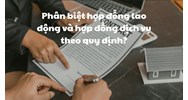 Phân biệt hợp đồng lao động và hợp đồng dịch vụ theo quy định?