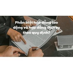 Phân biệt hợp đồng lao động và hợp đồng dịch vụ theo quy định?