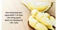 Sầu riêng loại nào ngon nhất? Các loại sầu riêng ngon được ưa chuộng tại Việt Nam
