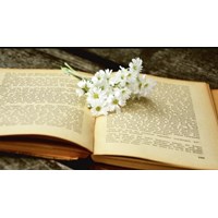 Phiếu bài tập cuối tuần Tiếng Việt 3 cả năm (chi tiết)