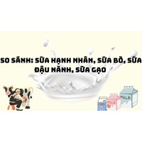 So sánh: Sữa hạnh nhân, sữa bò, sữa đậu nành, sữa gạo