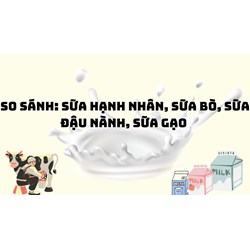 So sánh: Sữa hạnh nhân, sữa bò, sữa đậu nành, sữa gạo
