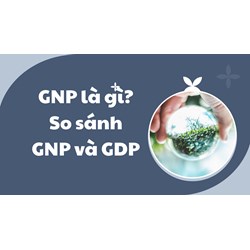 GNP là gì? So sánh  GNP và GDP