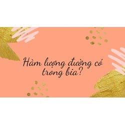 Hàm lượng đường có trong bia?